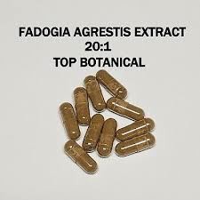 fadogia agrestis capsules
